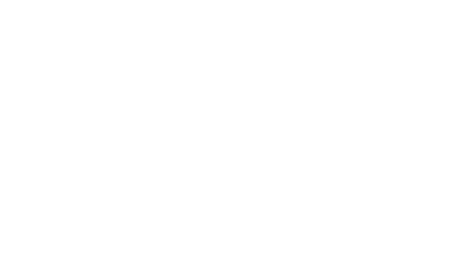 logo zara buffet